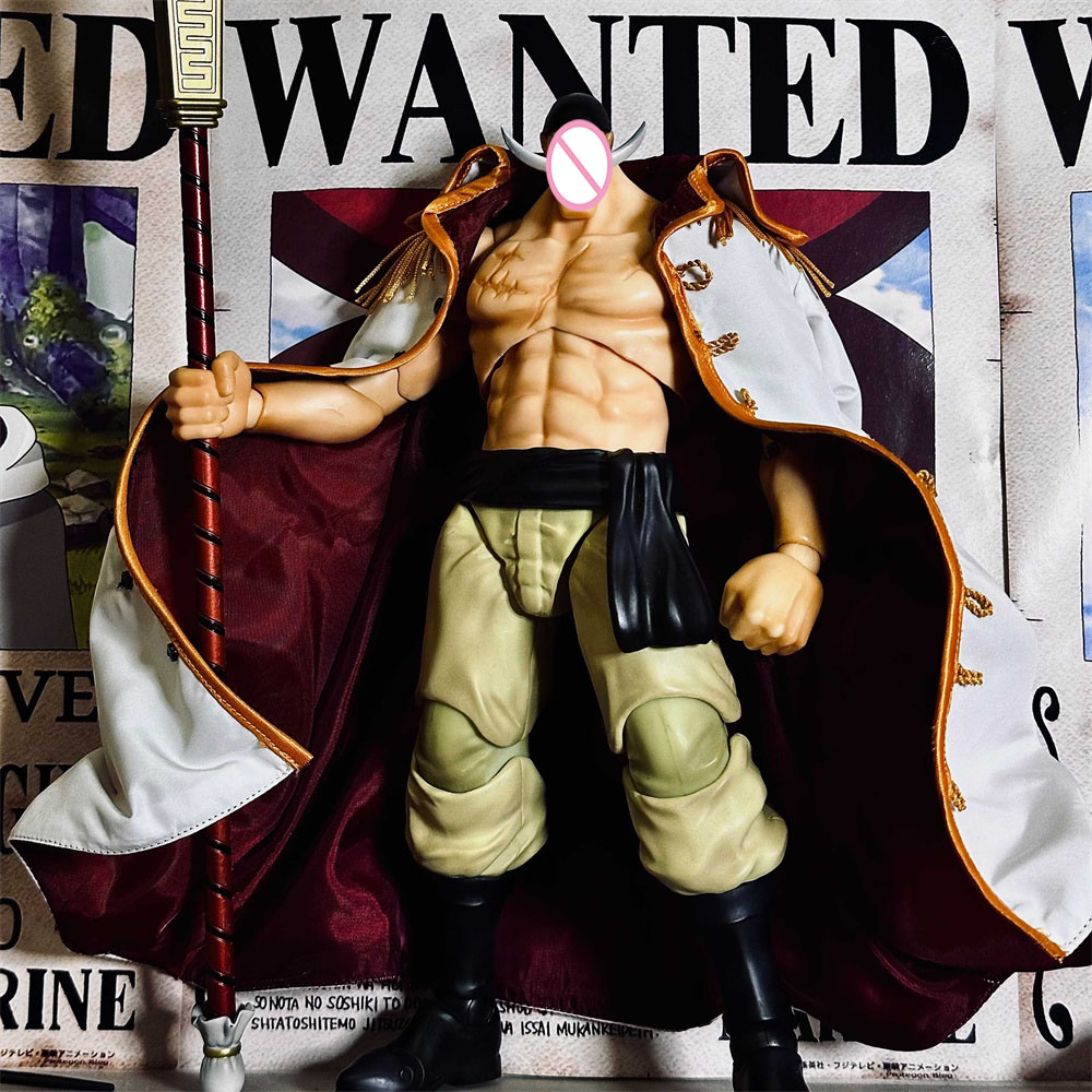 Handgemaakte klassieke Japanse - Windbreaker Anime Merchandise recensie en prijs