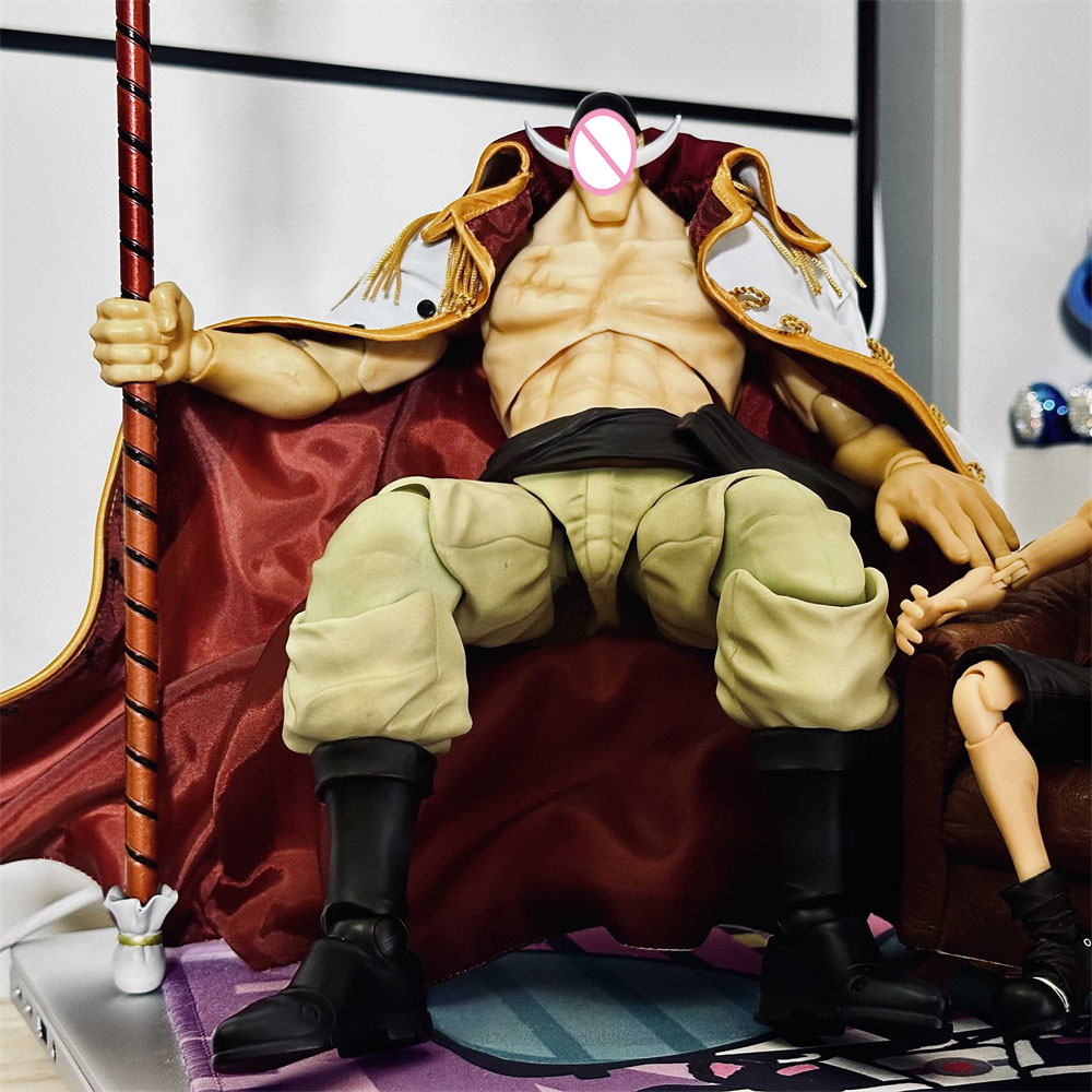 Handgemaakte klassieke Japanse - Windbreaker Anime Merchandise recensie en prijs